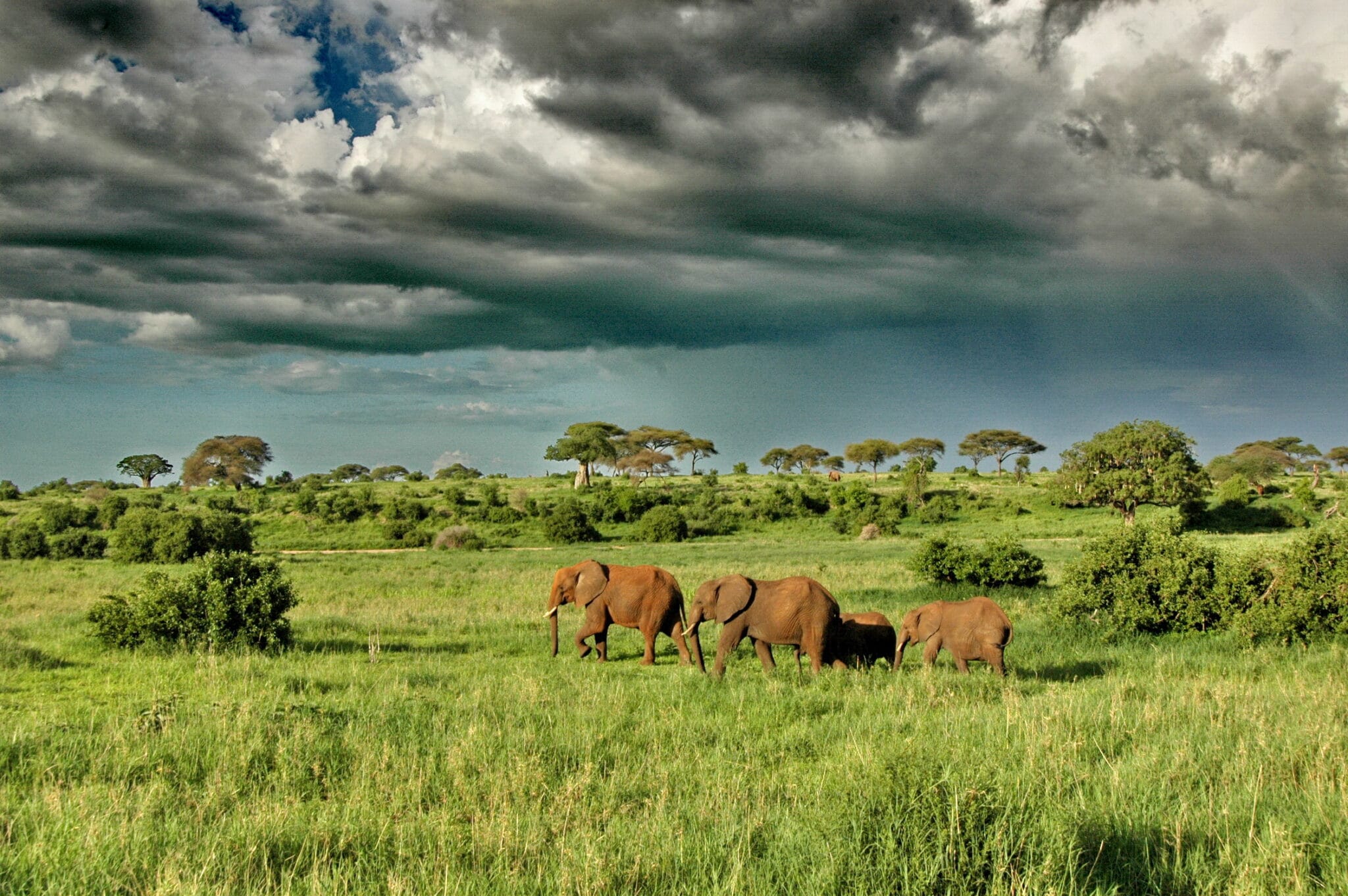 LGBTQ+ friendly safaris Kenya 2027