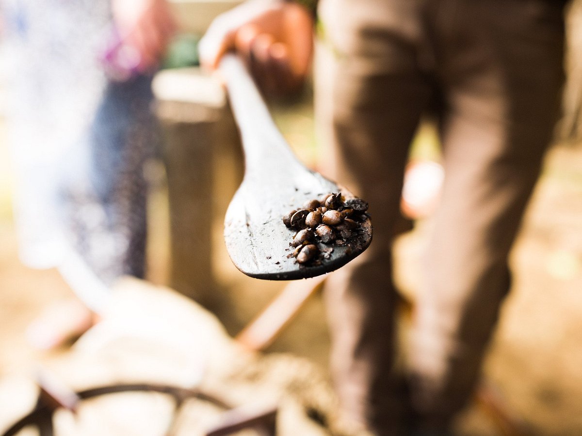 Tengeru Cultural & Coffee Tour