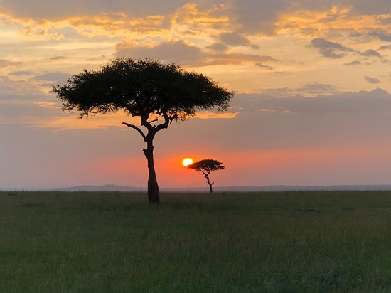 Nairobi National Park + Lake Nakuru combo 2025