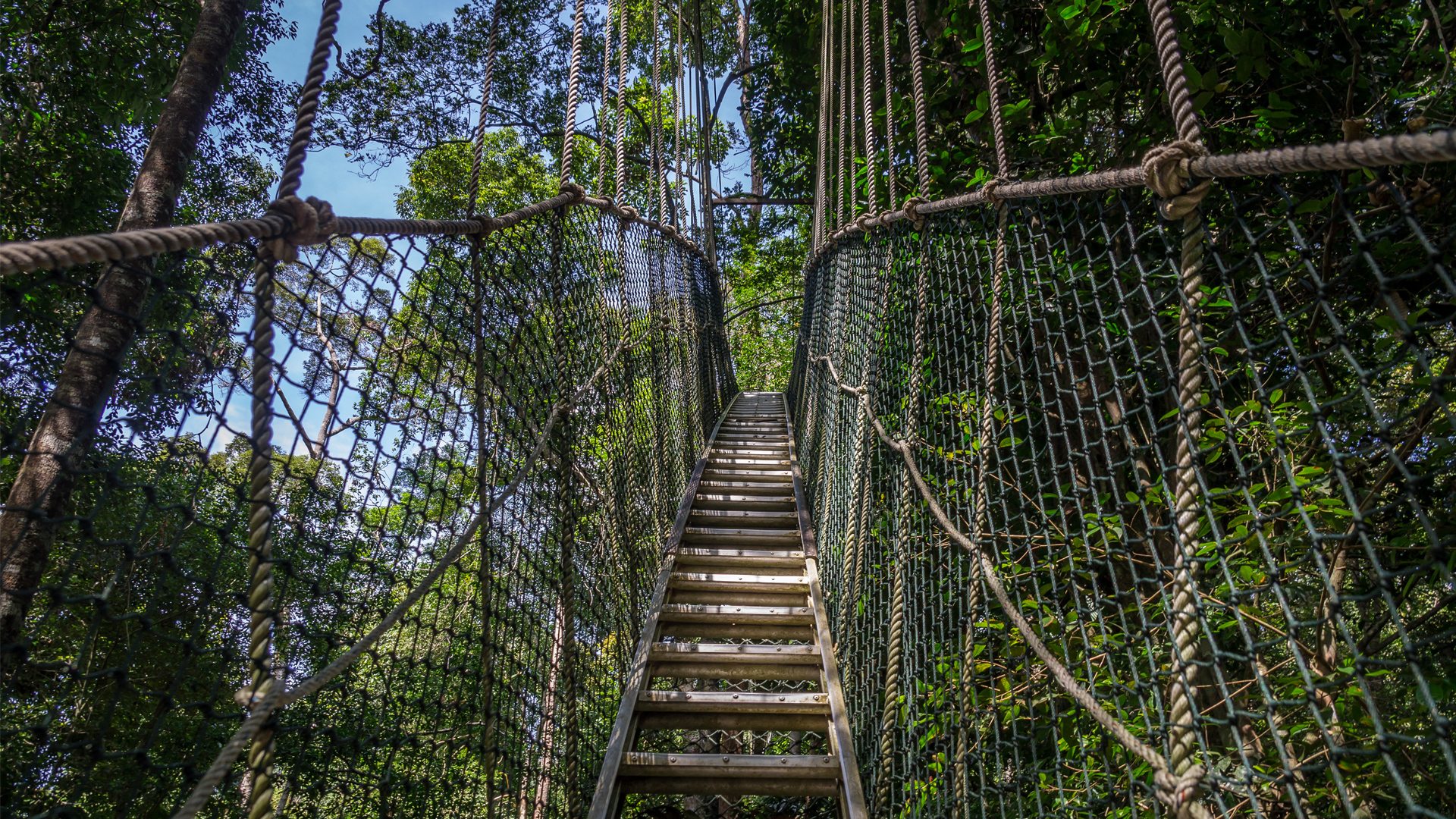 Lake Manyara + Treetop Walkway