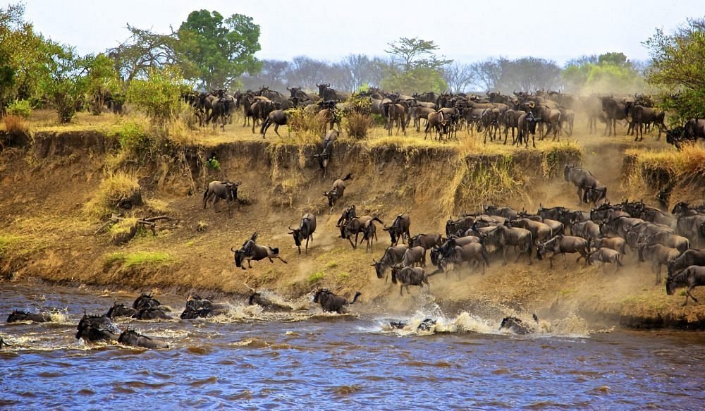12 Days Northern Migration Safari and Ol Doinyo Lengai Trekking