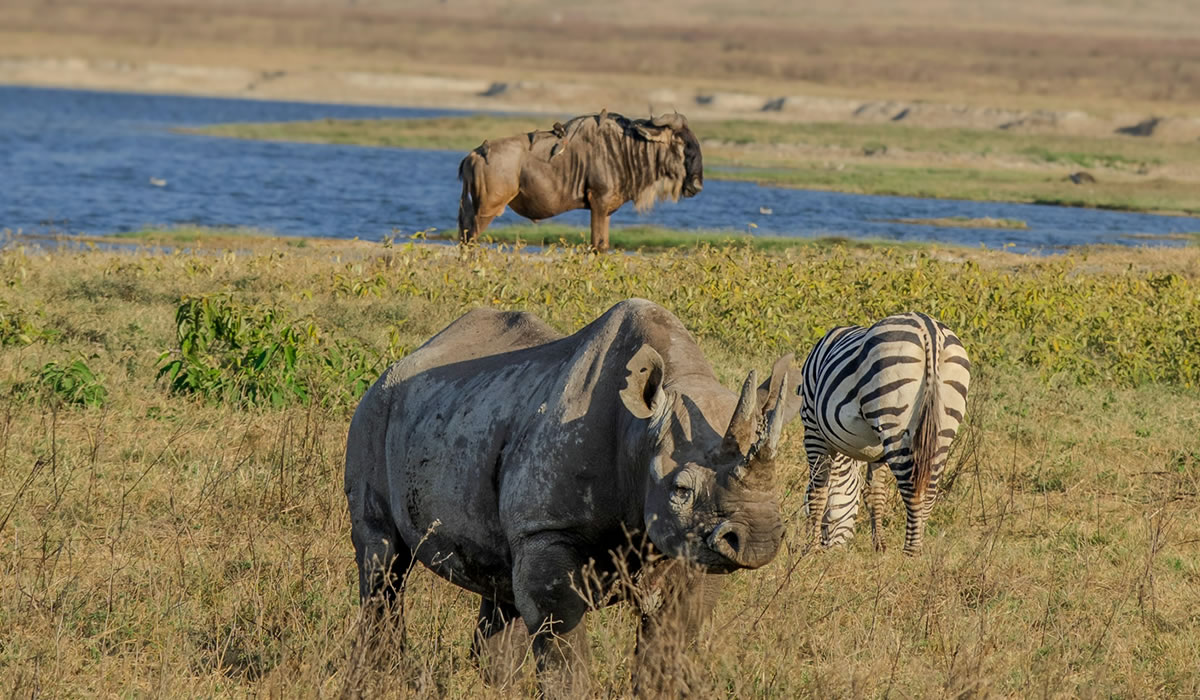 Ndutu cultural experience near Ngorongoro