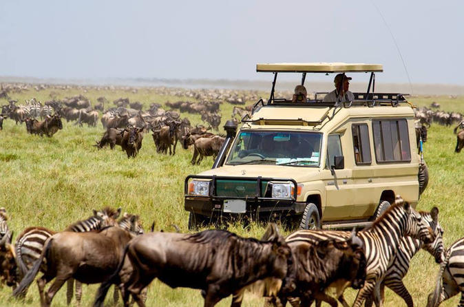 ultimate 3-Day Zanzibar to Serengeti Safari,
