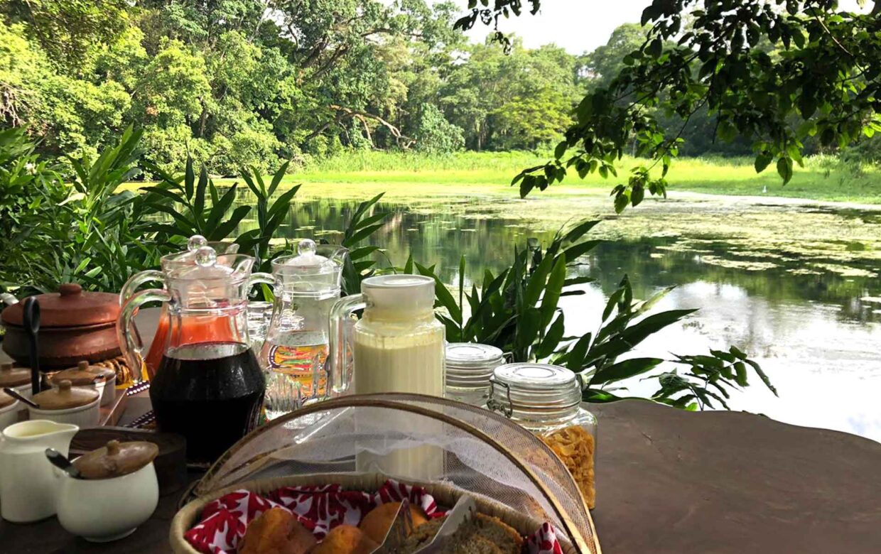 5-Day Luxury Tanzania Wildlife Tour