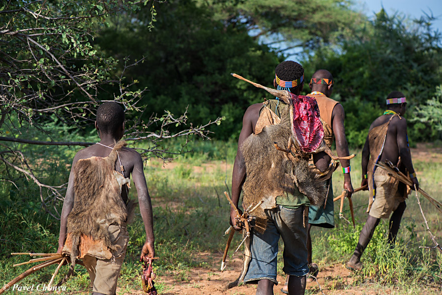 6-Day Cultural & Wildlife Safari in Tanzania