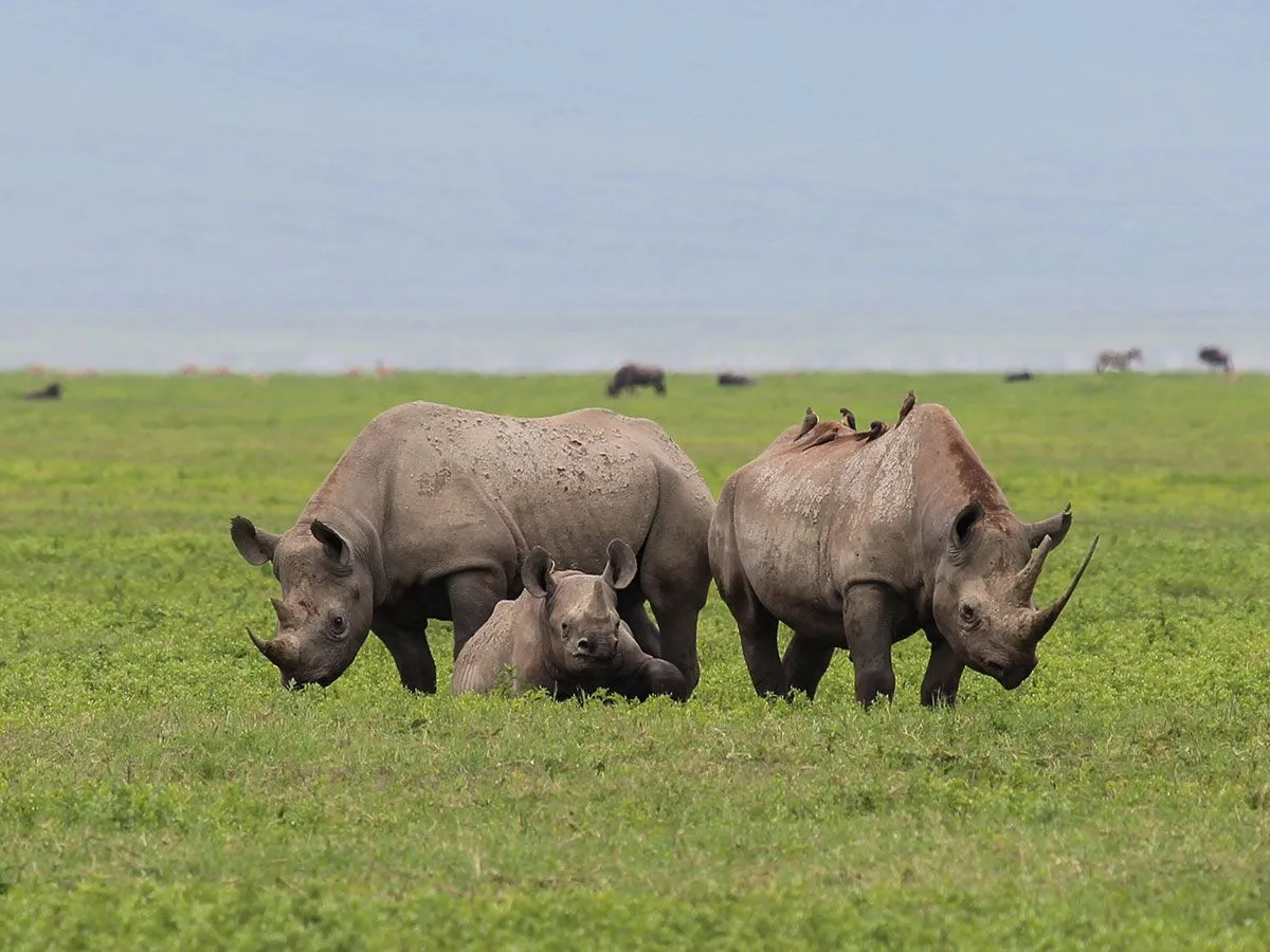 9-Day Tanzania Safari Itinerary