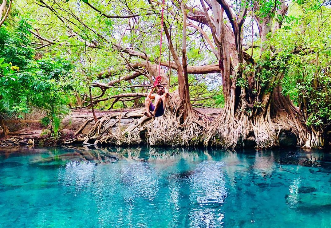Exclusive 14-Day Tanzania Safari Tour